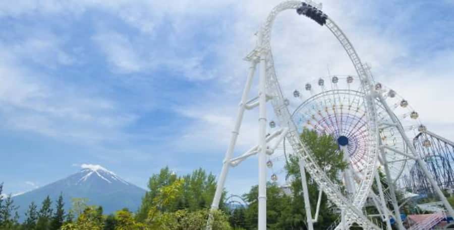 Fuji-Q Highland Amusement Park: 1 Day private tour by Car - Do-dodonpa: chase world-speed acceleration