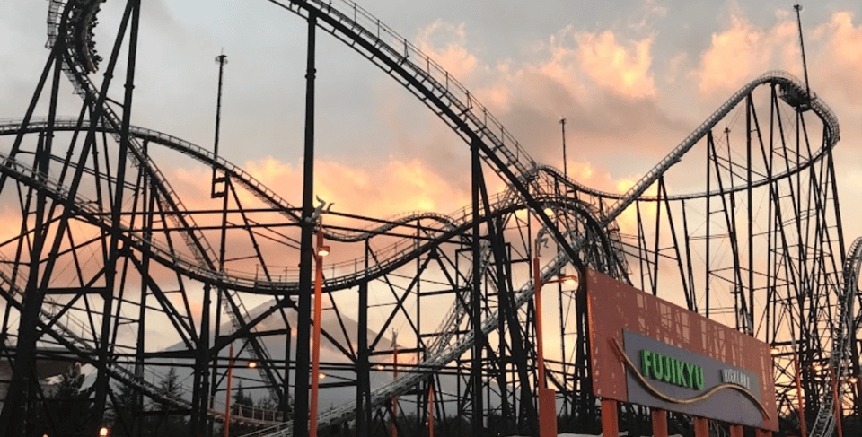 Fuji-Q Highland Amusement Park: 1 Day private tour by Car - Driver, language, and small-group dynamics