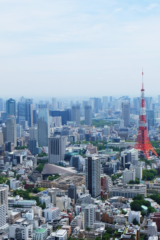 Full-Day Private Tour to Discover The Best of Tokyo - Sensō-ji Temple and the Temple-Front Shopping Street