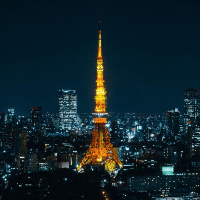 Full Day Tokyo City Private Tour Sightseeing Full Customised - Key things to know before you go