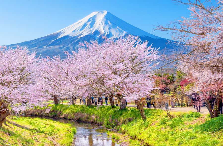 Full-Day Tour to the Picturesque Spots of Mount Fuji - From Tokyo to Fuji viewpoints: the day’s rhythm and travel time