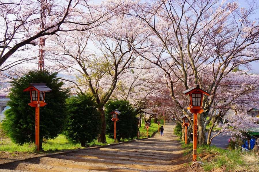 Full-Day Tour to the Picturesque Spots of Mount Fuji - Oshino Hakkai (UNESCO springs): tasting Mount Fuji meltwater