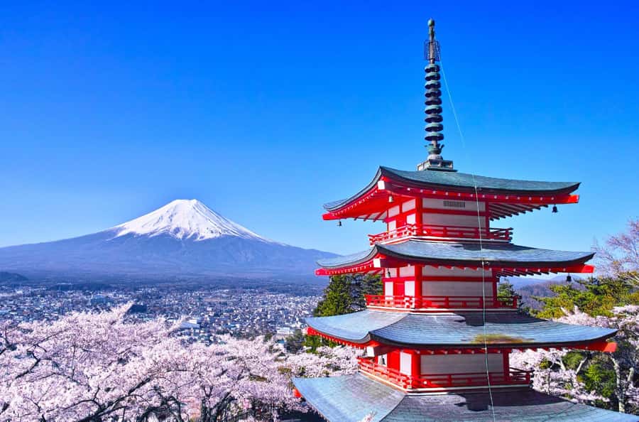 Full-Day Tour to the Picturesque Spots of Mount Fuji - Arakurayama Sengen Park and the Chureito Pagoda: shrine views and a 400-step payoff