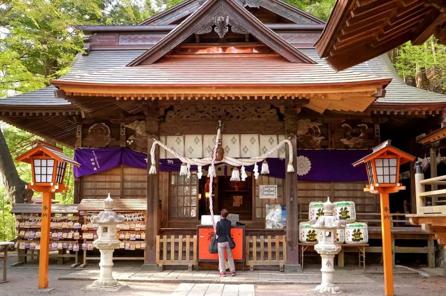 Full-Day Tour to the Picturesque Spots of Mount Fuji - Food, pacing, and what $49 buys you (and what it doesn’t)