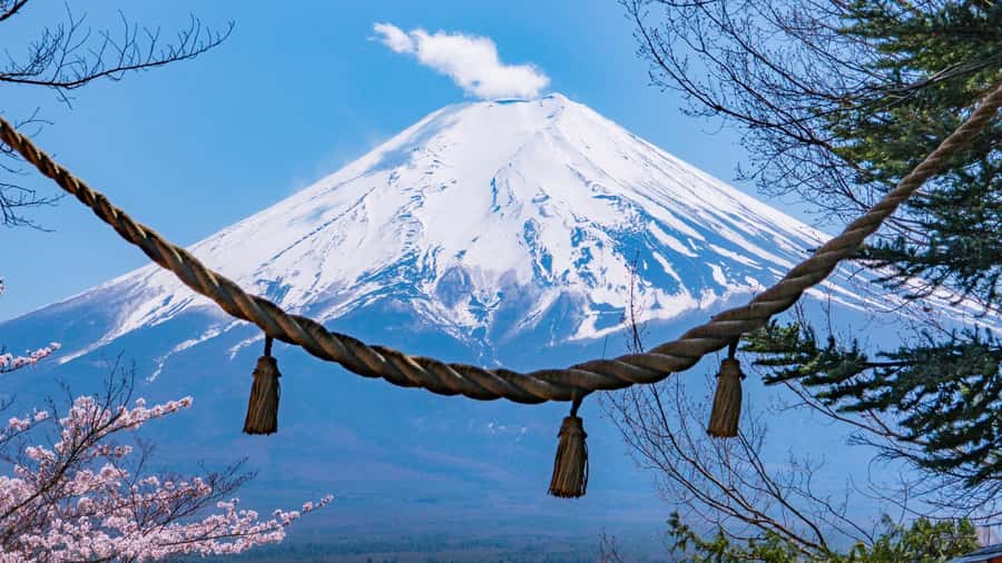 Full-Day Tour to the Picturesque Spots of Mount Fuji - When visibility is good (and when it isn’t): how to plan for real Fuji weather