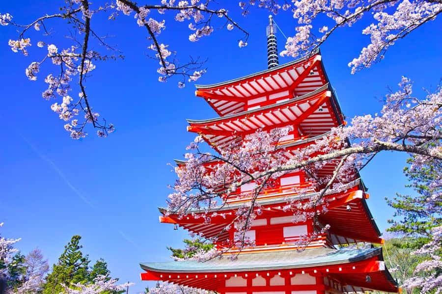 Full-Day Tour to the Picturesque Spots of Mount Fuji - Should you book this full-day Mount Fuji tour?