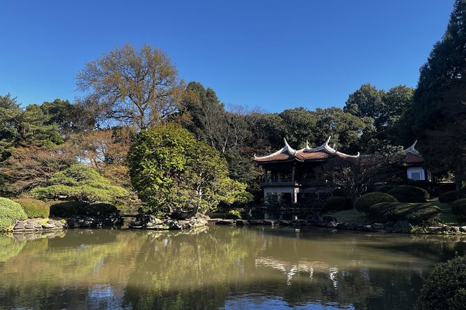 Full Day Walking Tour in Shinjuku and Shibuya - A Shinjuku-to-Shibuya Walk That Feels Like Two Tokyo Eras