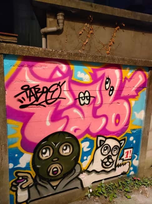 Graffiti in Tokyo Walking Tour: Shibuya and Harajuku - Value Check: Is $38 for 2 Hours a Good Deal?