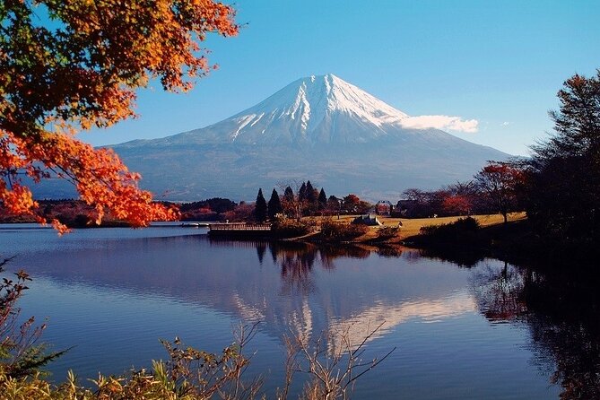 Hakone 6 hour Private Tour with Government-Licensed Guide - Price and what you’re really buying for $175.76 per person