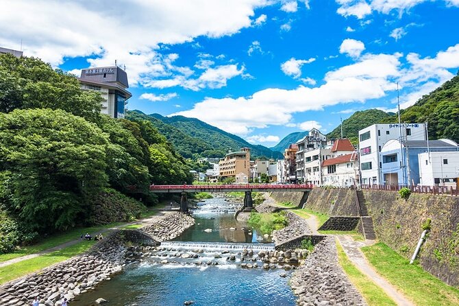 Hakone 6 hour Private Tour with Government-Licensed Guide - A realistic look at timing: how guides keep the day smooth