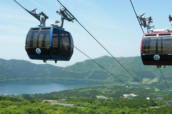 Hakone 6 hour Private Tour with Government-Licensed Guide - Who this tour is best for