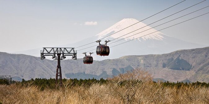 Hakone 8 hour Private Tour with Government-Licensed Guide - Key points at a glance