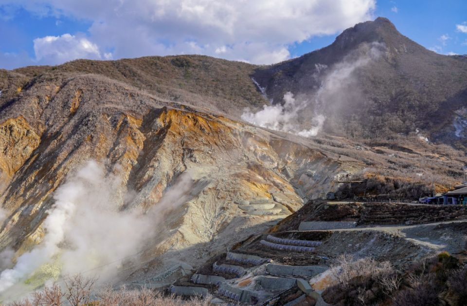 Hakone: Customizable Full Day Tour with Private Transfer - Price and value: what $309 per person includes, and what can add up