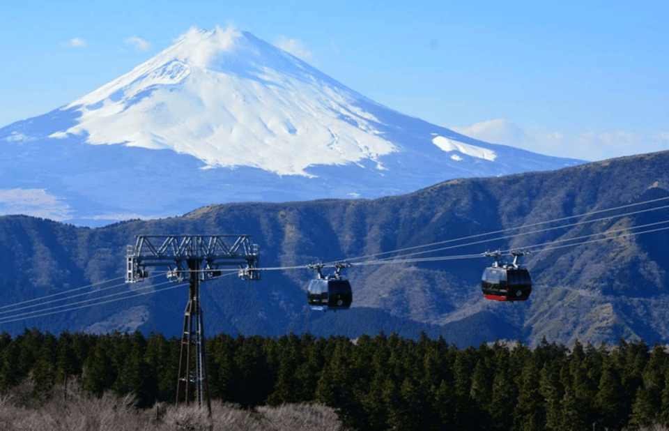 Hakone: Customizable Full Day Tour with Private Transfer - Who should book this Hakone private car tour