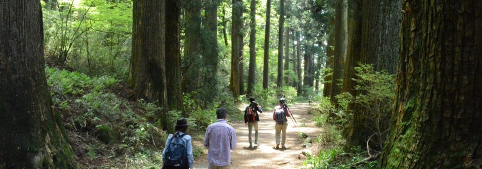 Hakone Geology & History Tour - Key points to know before you go