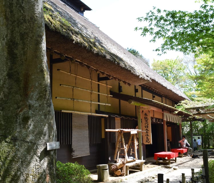 Hakone Geology & History Tour - Getting From Odawara to the Action: Easy Start, Smart Routing