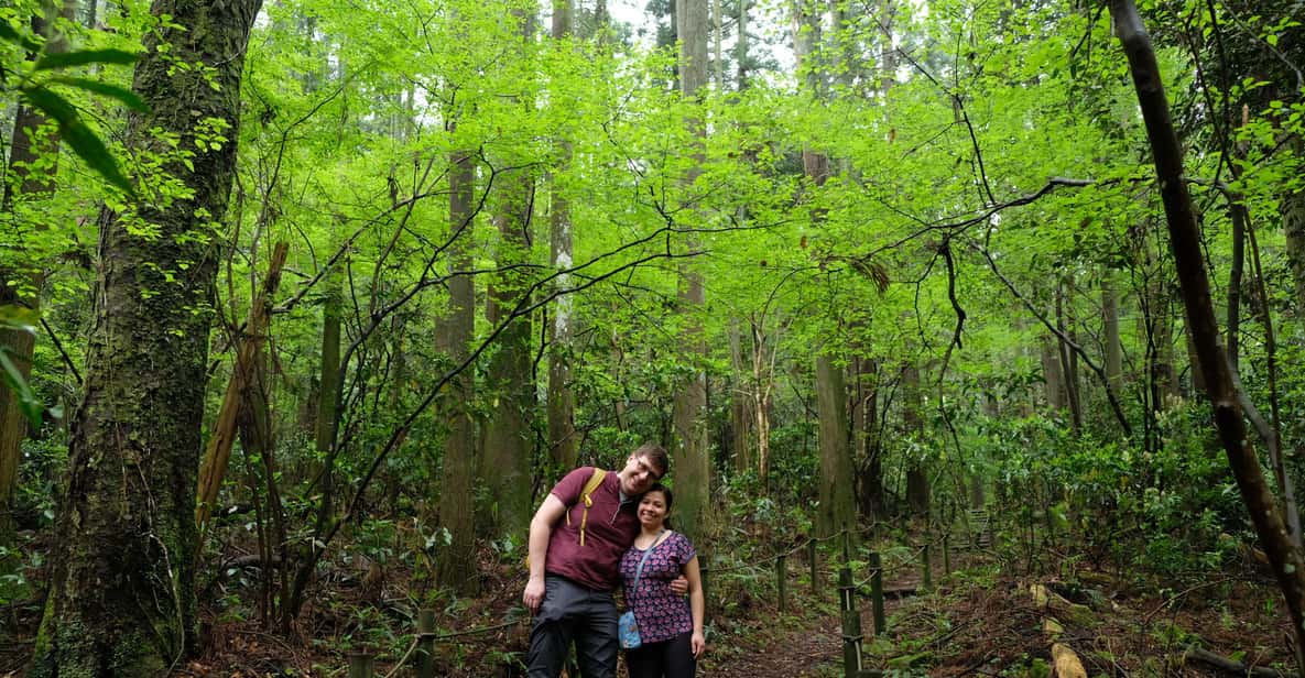 Hakone Hachiri: Old Tokaido Highway Hiking Half-day tour - Key highlights worth getting excited about