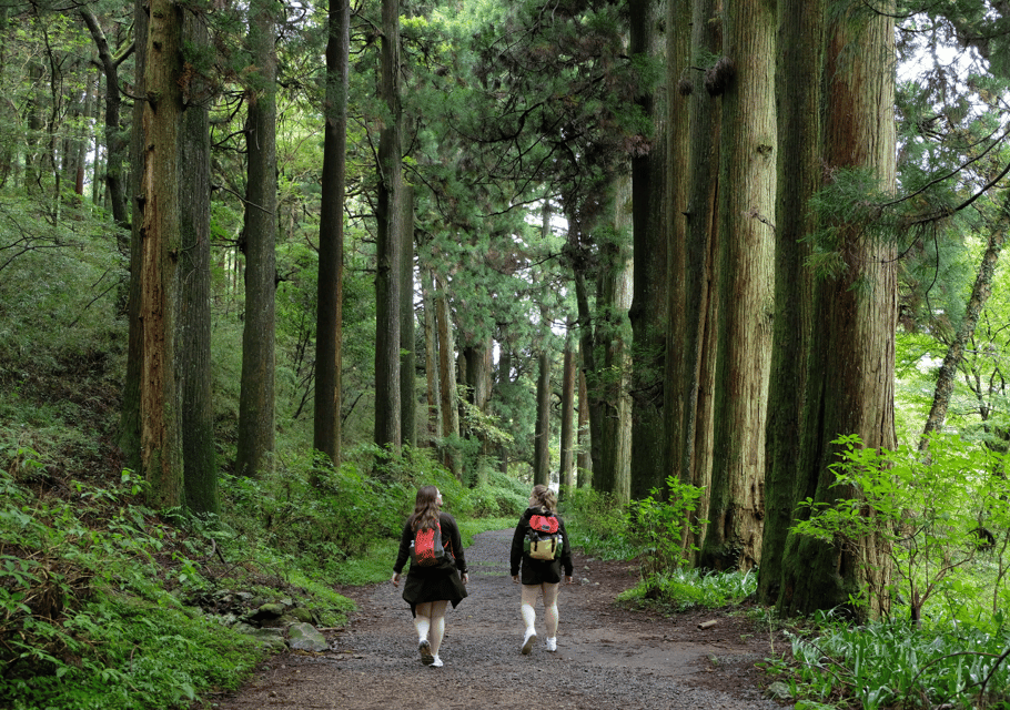 Hakone Hachiri: Old Tokaido Highway Hiking Half-day tour - Amasake Tea House: your 400-year reset for the road