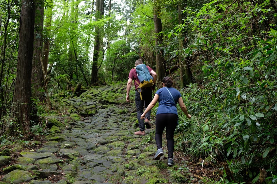Hakone Hachiri: Old Tokaido Highway Hiking Half-day tour - Hachiri means 32 km of hard mountain walking (and how this tour handles it)