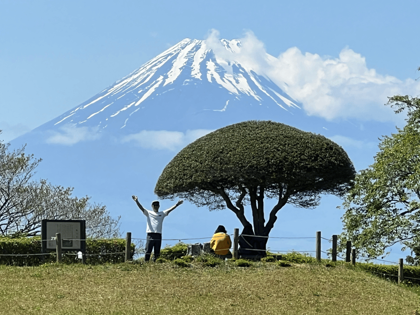 Hakone Hachiri: Old Tokaido Highway Hiking Tour - Cobbled old Tokaido Highway to Lake Ashi: Mt Fuji photo chances