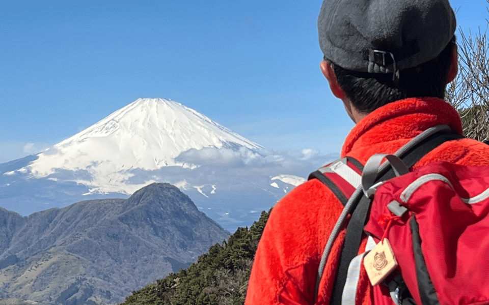 Hakone: Traverse the Hakone Caldera and Enjoy Onsen - Key takeaways