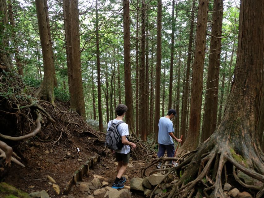 Hakone: Traverse the Hakone Caldera and Enjoy Onsen - The Ridge Walk Through Bamboo, Seasons, and Quiet Sounds