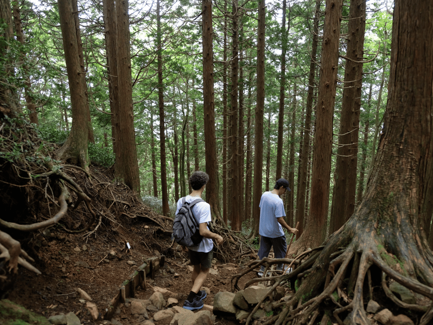 Hakone: Traverse the Hakone Caldera and Enjoy Onsen - Onsen After the Hike: Why This Stops Being Optional