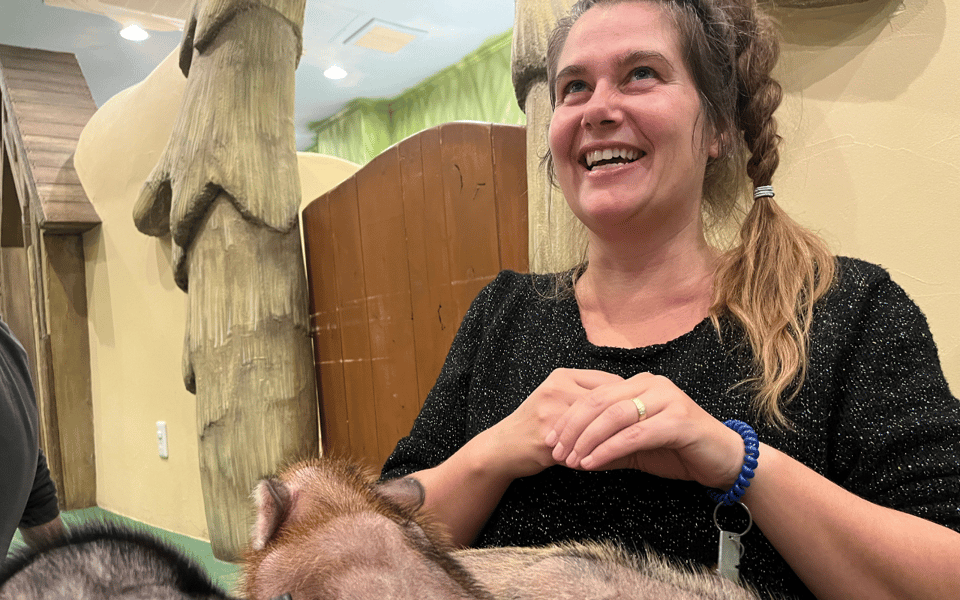 Harajuku : Blend of Tradition & Pop Culture for Family Tour - Micro pig animal café: the hands-on moment kids usually remember