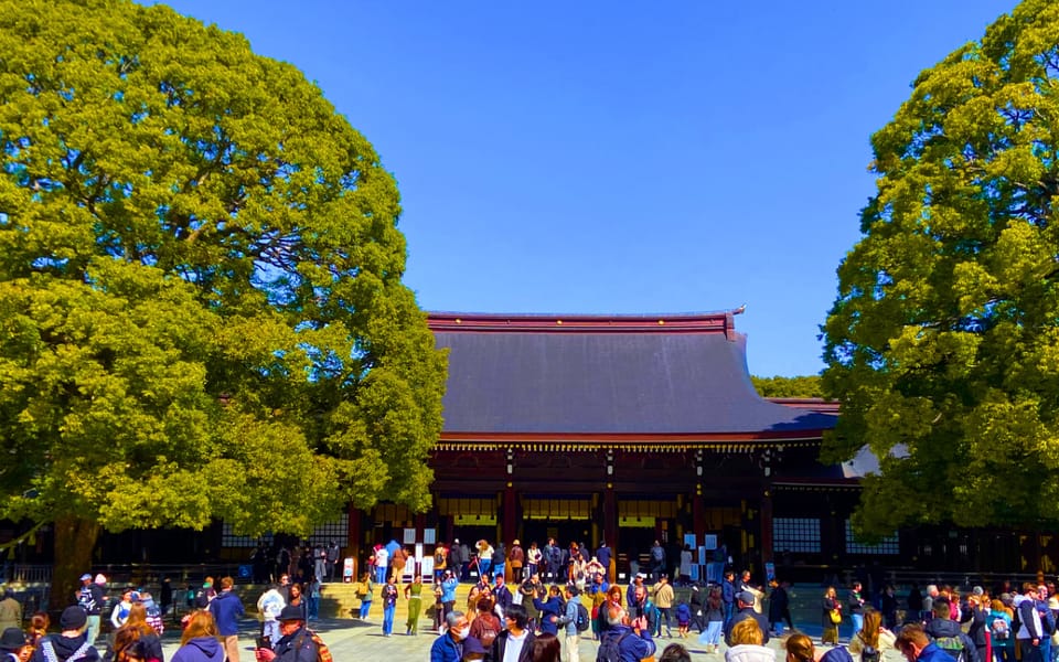 Harajuku : Blend of Tradition & Pop Culture for Family Tour - Meiji Shrine: learning how worship works in a real Shinto setting