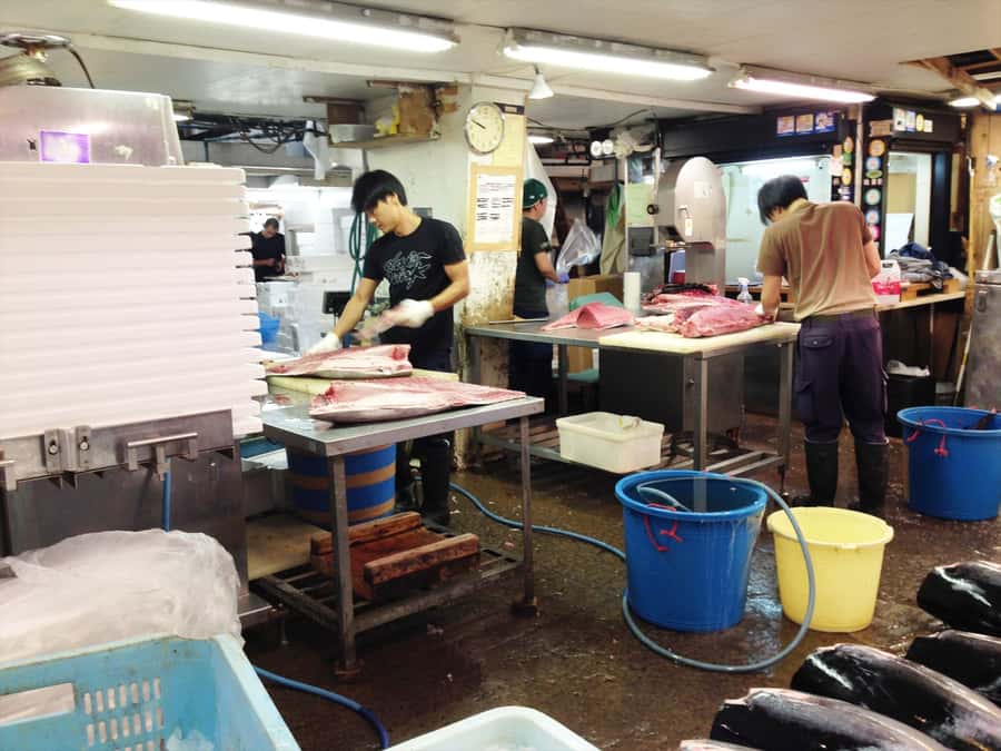 Highlights of Tokyo Private Tour with a Licensed Guide - Key things you’ll notice on this Tokyo private tour