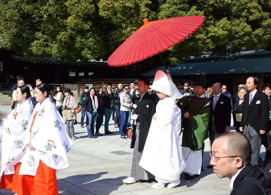 Highlights of Tokyo Private Tour with a Licensed Guide - Should you book this Tokyo private tour?