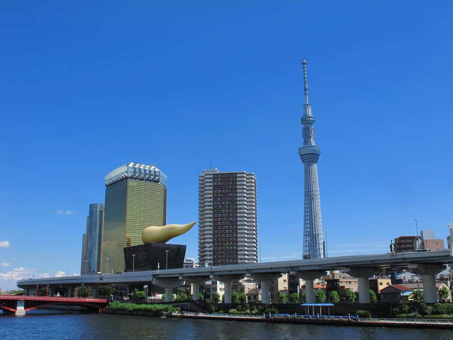 Highlights of Tokyo Private Tour with a Licensed Guide - Asakusa and Sensoji Temple: old Tokyo and the Nakamise souvenir corridor
