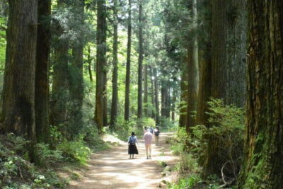 Hike Hakone Hachiri - Start Smart: Mishima Station at 8:30 and the simple logistics