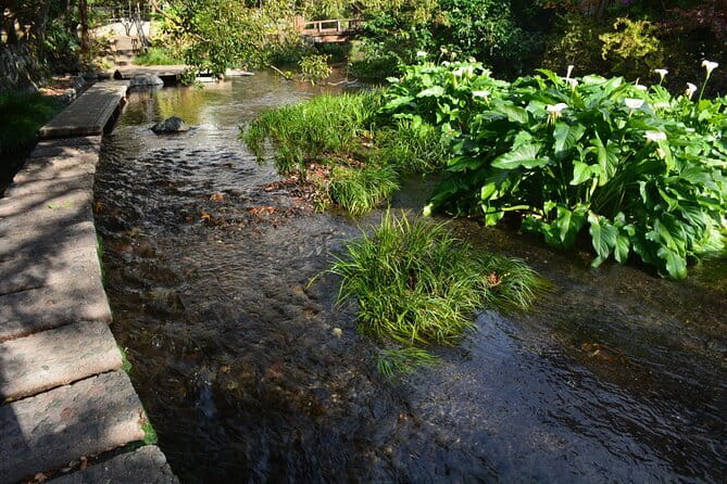 Hike Hakone Hachiri - Yamanaka Castle Ruins: earthworks, history, and Mt. Fuji hopes