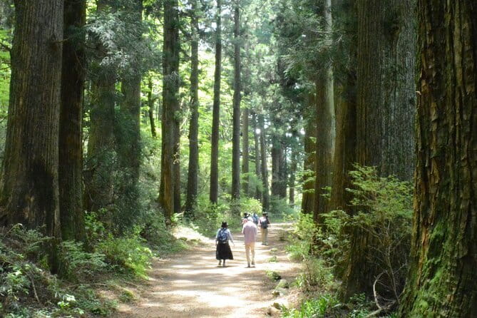 Hike Hakone Hachiri - Start Smart: Mishima Station at 8:30 and the simple logistics