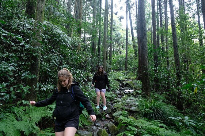 Hike Japan Heritage Hakone Hachiri (Half Day) - Key things that make Hakone Hachiri worth your time