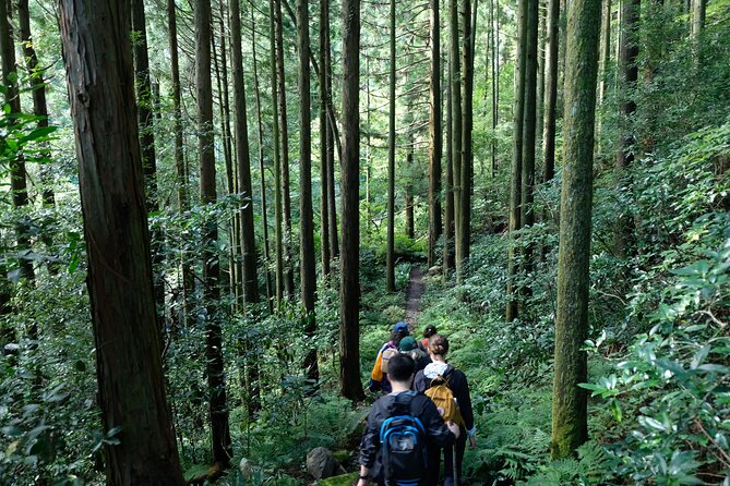 Hike Japan Heritage Hakone Hachiri (Half Day) - The hike rhythm: 2–3 hours on the old Tokaido route