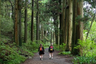 Hike Japan Heritage Hakone Hachiri (Half Day) - Price and what you really get for $114.95