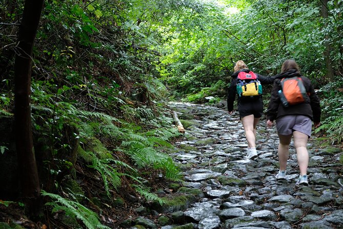 Hike Japan Heritage Hakone Hachiri (Half Day) - Stop 3: the Hakone checkpoint and the bigger story behind the route