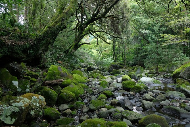 Hike Japan Heritage Hakone Hachiri (Half Day) - Stop 4: Lake Ashinoko at the end, with Mt Fuji if you’re lucky