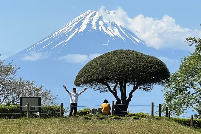 Hike Japan Heritage Hakone Hachiri with certified mountain guide - Key Things That Make This Tour Worth Your Time