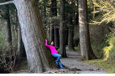 Hike Japan Heritage Hakone Hachiri with certified mountain guide - Meet-Up, Start Line, and How You’ll Move Between Stops