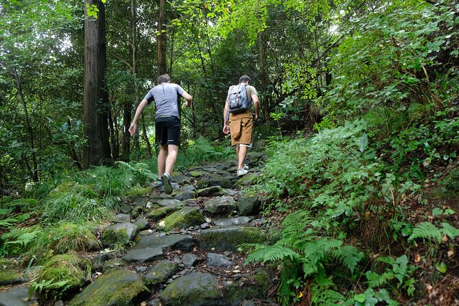 Hike Japan Heritage Hakone Hachiri with certified mountain guide - Cedar Trees of the Old Road and the Hakone Checkpoint Story