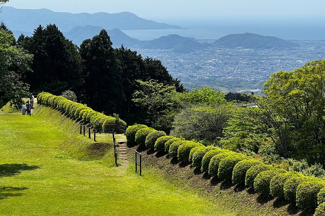 Hike Japan Heritage Hakone Hachiri with certified mountain guide - Yamanaka Castle Ruins: Fuji Views If You’re Lucky