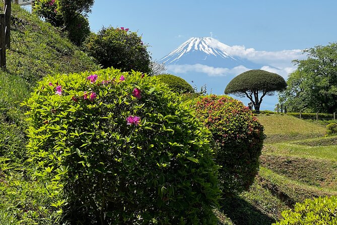 Hike Japan Heritage Hakone Hachiri with certified mountain guide - Mishima Finish: Mishima Taisha and Genba River