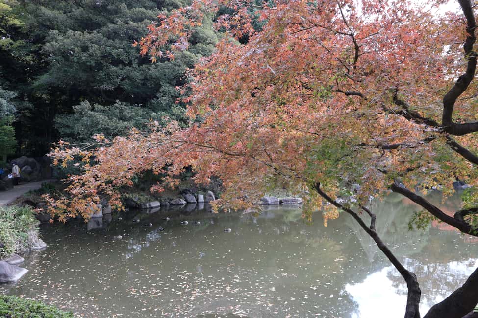 Imperial Palace Tour: Discover Samurai History with a Guide - Price and Value: Why $24 Can Make Sense in Tokyo