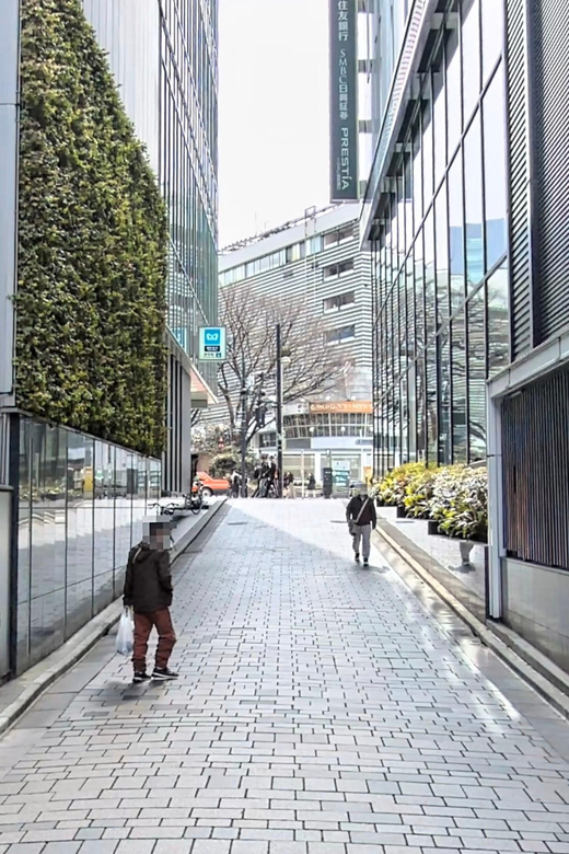 Kabukicho Macabre Tour - the Real Tokyo Vice - Love Hotels and the Night-Work World: What the Tour Adds Beyond Crime