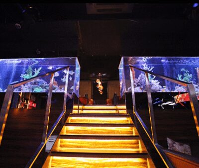 Kabukicho, Shinjuku: experiencing Japanese Host Club - First contact inside: what the host club setup is like
