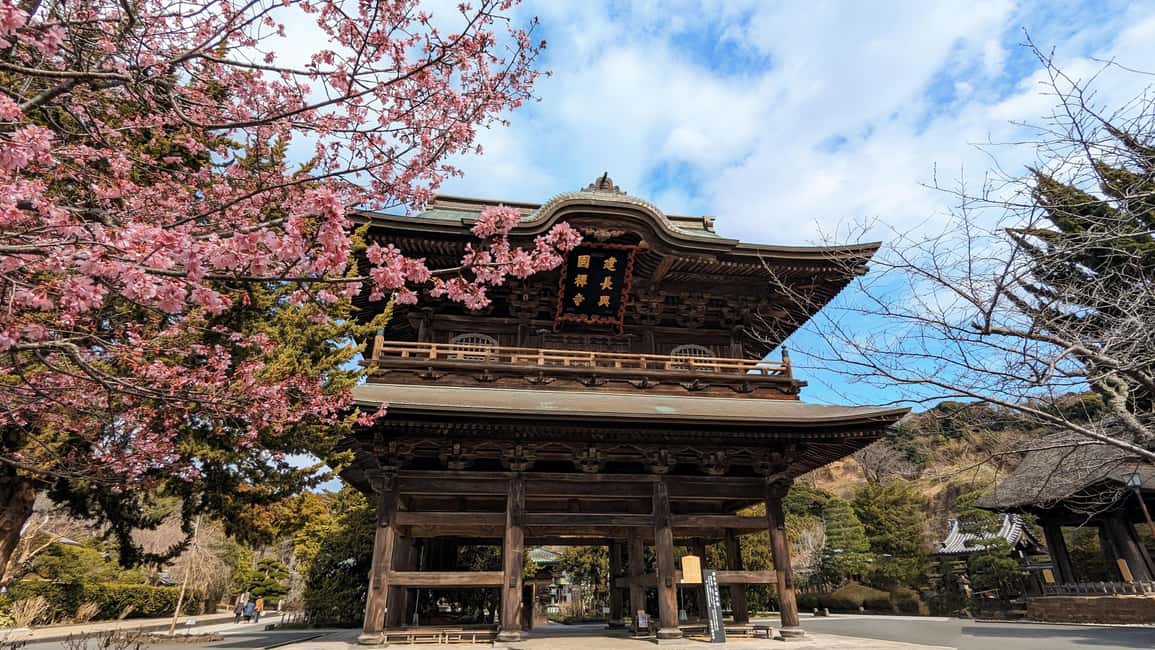 Kamakura: A Journey Through Medieval Japan - Enoshima: Holy Island Energy with Coastal Vibes