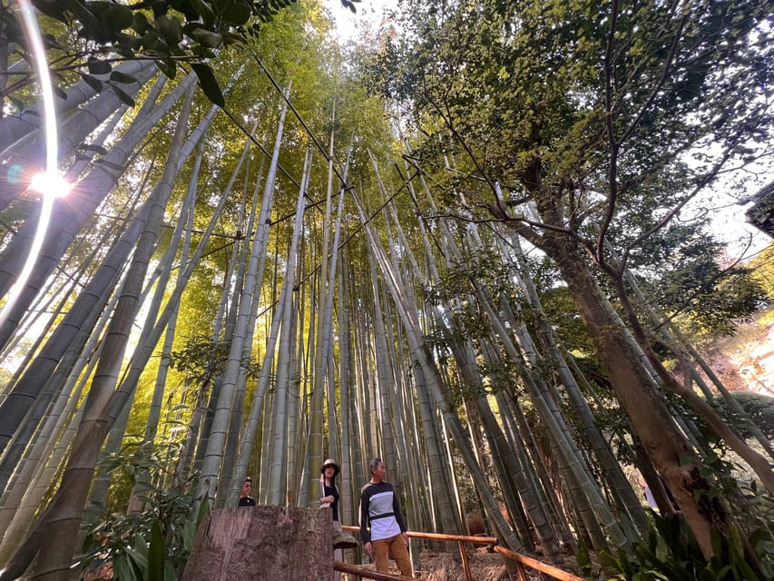 Kamakura and Enoshima: Private Guided Day Tour with Vehicle - Key points before you go